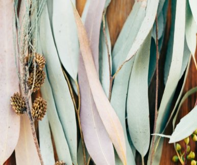 resize-16829482861839790082shutterstock10608131991min1600x400